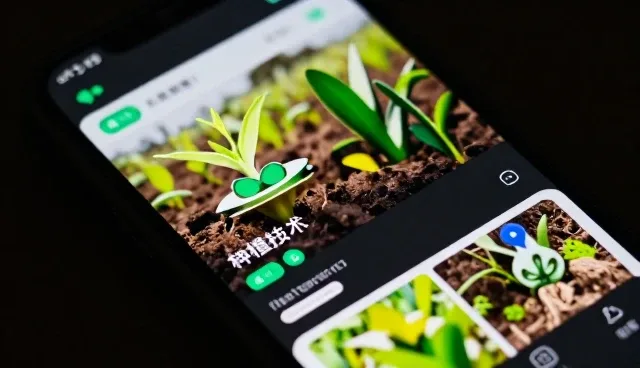 协同种植中合作需求的常见问题及处理策略