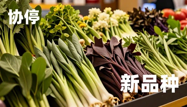 提升服务效率,优化合作流程的关键策略
